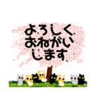 桜と猫達（個別スタンプ：11）