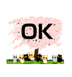 桜と猫達（個別スタンプ：12）