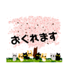 桜と猫達（個別スタンプ：15）