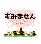 桜と猫達（個別スタンプ：16）