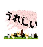 桜と猫達（個別スタンプ：17）