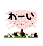 桜と猫達（個別スタンプ：18）