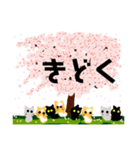 桜と猫達（個別スタンプ：19）