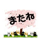 桜と猫達（個別スタンプ：20）