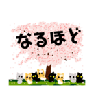 桜と猫達（個別スタンプ：21）