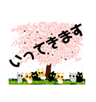 桜と猫達（個別スタンプ：22）