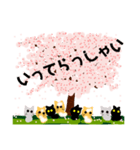 桜と猫達（個別スタンプ：23）