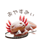 ウーパールーパー7！バドミントン！（個別スタンプ：8）