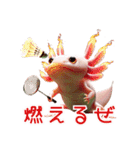 ウーパールーパー7！バドミントン！（個別スタンプ：25）