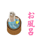 動くもにょちゃん（個別スタンプ：1）