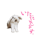 動くもにょちゃん（個別スタンプ：3）