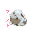 動くもにょちゃん（個別スタンプ：6）