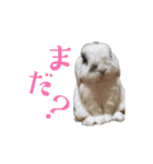 動くもにょちゃん（個別スタンプ：8）