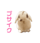 動くもにょちゃん（個別スタンプ：10）