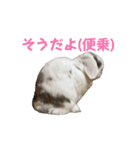動くもにょちゃん（個別スタンプ：12）