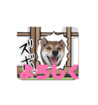 動く姫ちゃん夢ちゃん7（個別スタンプ：14）