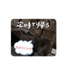 動く！みるく先生！（個別スタンプ：6）