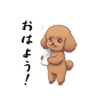 トイプードル 定番＆笑える面白スタンプ（個別スタンプ：1）