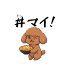 トイプードル 定番＆笑える面白スタンプ（個別スタンプ：10）