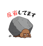トイプードル 定番＆笑える面白スタンプ（個別スタンプ：20）
