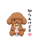 トイプードル 定番＆笑える面白スタンプ（個別スタンプ：27）
