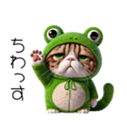 ニャンコとカエル★着ぐるみ★ニャンピョン（個別スタンプ：14）