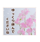 春色のお花で伝えるメッセージ（個別スタンプ：4）