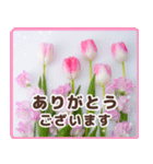 春色のお花で伝えるメッセージ（個別スタンプ：5）
