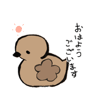 あひるかも。よく使うせりふとあいさつ（個別スタンプ：2）
