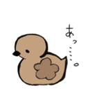 あひるかも。よく使うせりふとあいさつ（個別スタンプ：4）