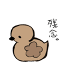 あひるかも。よく使うせりふとあいさつ（個別スタンプ：5）