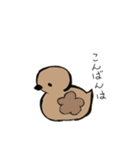 あひるかも。よく使うせりふとあいさつ（個別スタンプ：6）
