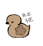あひるかも。よく使うせりふとあいさつ（個別スタンプ：7）