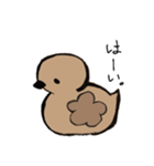 あひるかも。よく使うせりふとあいさつ（個別スタンプ：9）