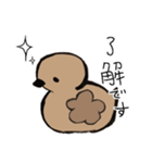 あひるかも。よく使うせりふとあいさつ（個別スタンプ：10）