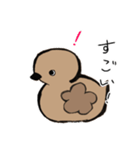 あひるかも。よく使うせりふとあいさつ（個別スタンプ：13）