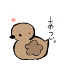 あひるかも。よく使うせりふとあいさつ（個別スタンプ：15）