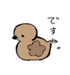 あひるかも。よく使うせりふとあいさつ（個別スタンプ：17）