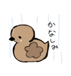 あひるかも。よく使うせりふとあいさつ（個別スタンプ：18）