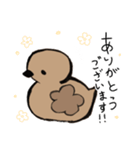 あひるかも。よく使うせりふとあいさつ（個別スタンプ：19）