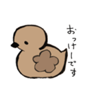 あひるかも。よく使うせりふとあいさつ（個別スタンプ：20）