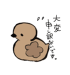 あひるかも。よく使うせりふとあいさつ（個別スタンプ：21）