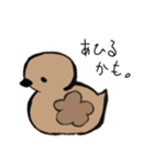 あひるかも。よく使うせりふとあいさつ（個別スタンプ：23）