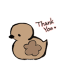 あひるかも。よく使うせりふとあいさつ（個別スタンプ：24）