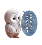 フクロウの日常挨拶（個別スタンプ：27）