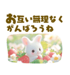 ちっちゃいうさぎさんの春♡やさしい日常（個別スタンプ：12）