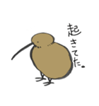 よくつかうキウイ（個別スタンプ：5）