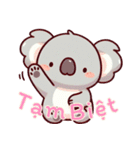 コアラの生活 (ベトナム) Ver2（個別スタンプ：22）