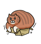 ハムスターとアソートアニマル（個別スタンプ：38）