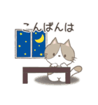 ネコちゃんの癒しスタンプ！（個別スタンプ：3）